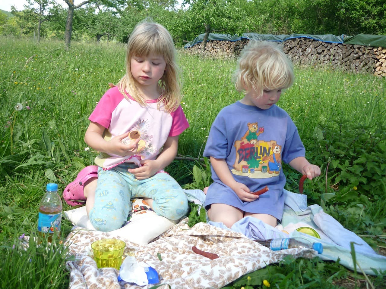 Organic Lawn Care Products Organic Lawn Care Products