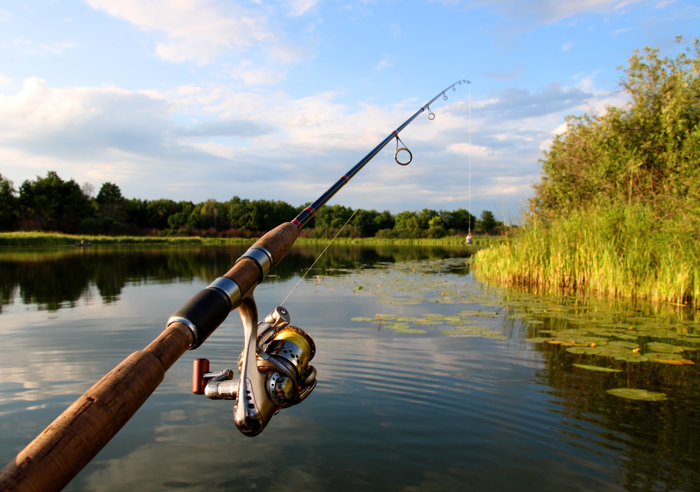 Fishing Checklist