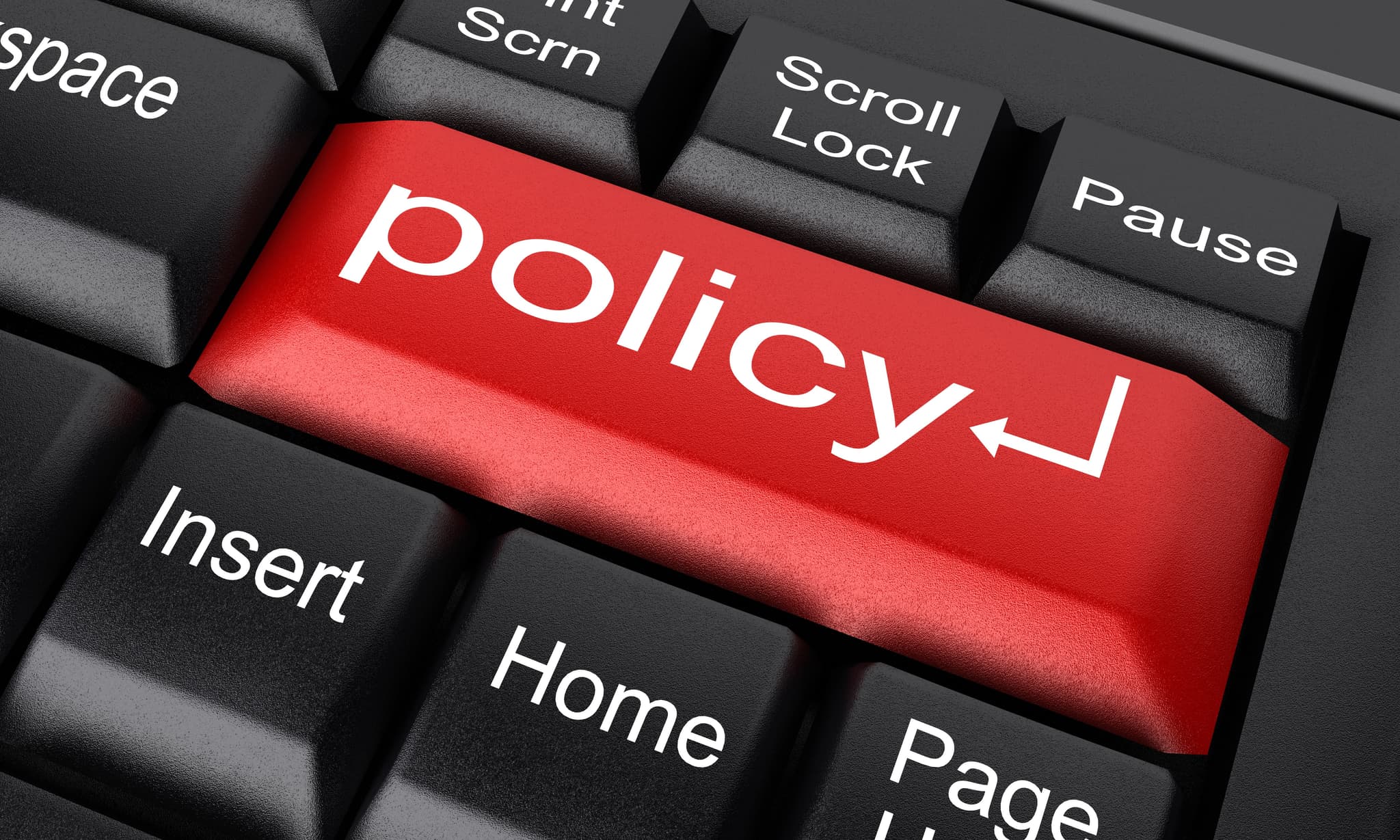 Policy Checklist - 33 tasks | Free | App | PDF | Printable