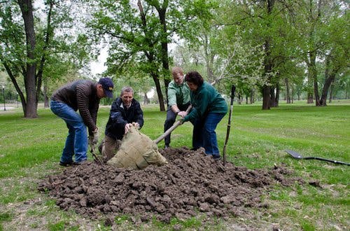 Tree Planting Checklist image