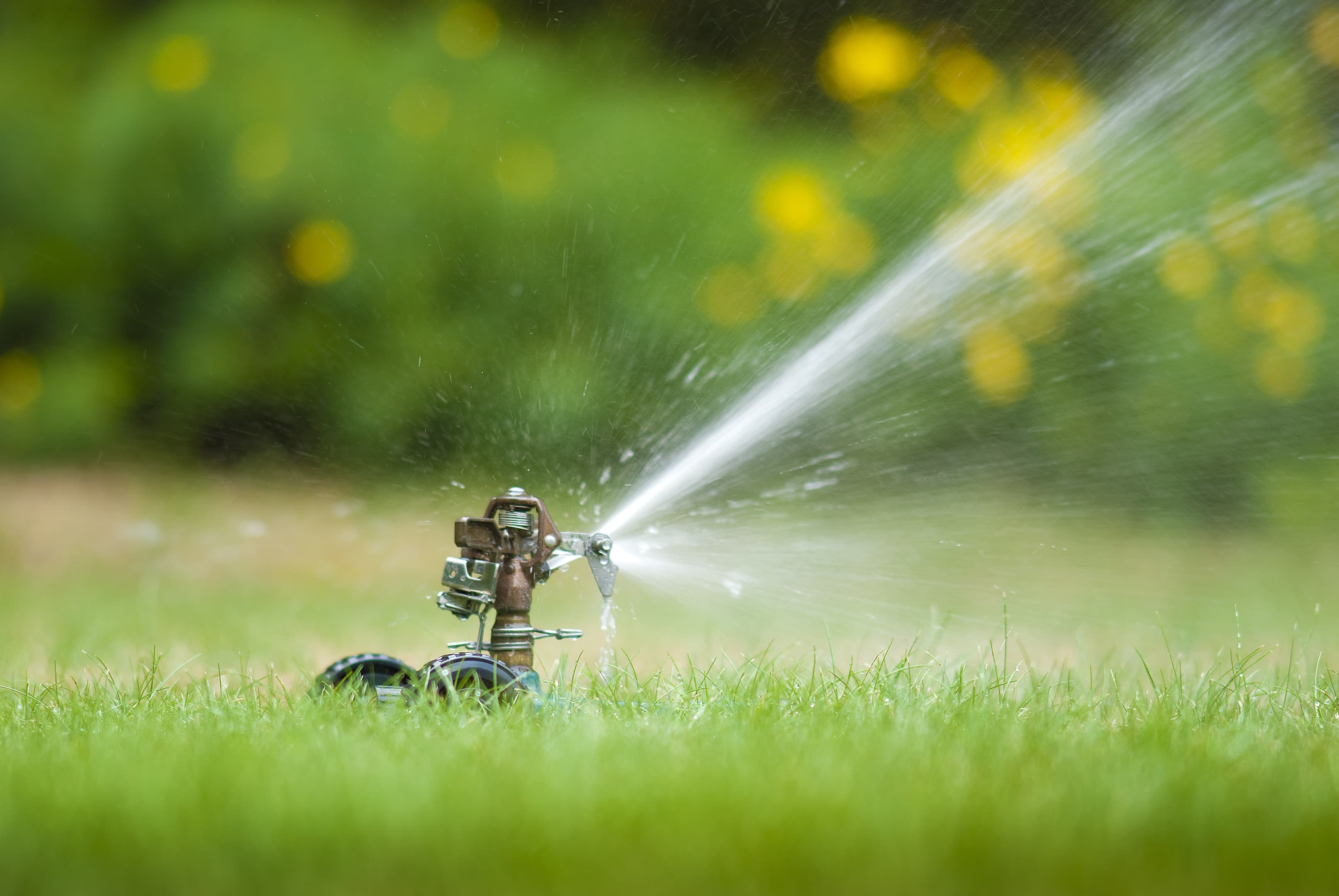 Irrigation Checklist