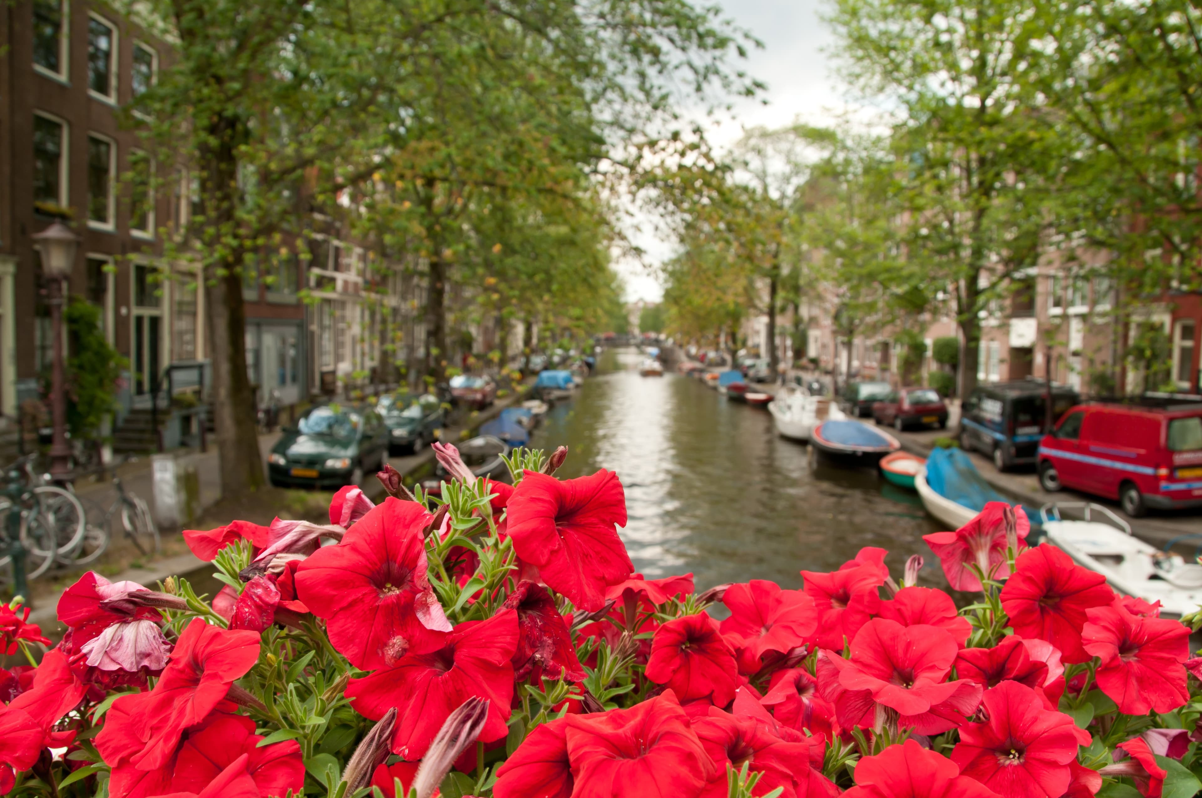 5 Day Trip Plan to the Netherlands 5 Day Trip Plan to the Netherlands