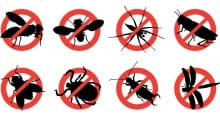 Pest Control Checklist