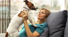 Dog Groomer Checklist Dog Groomer Checklist