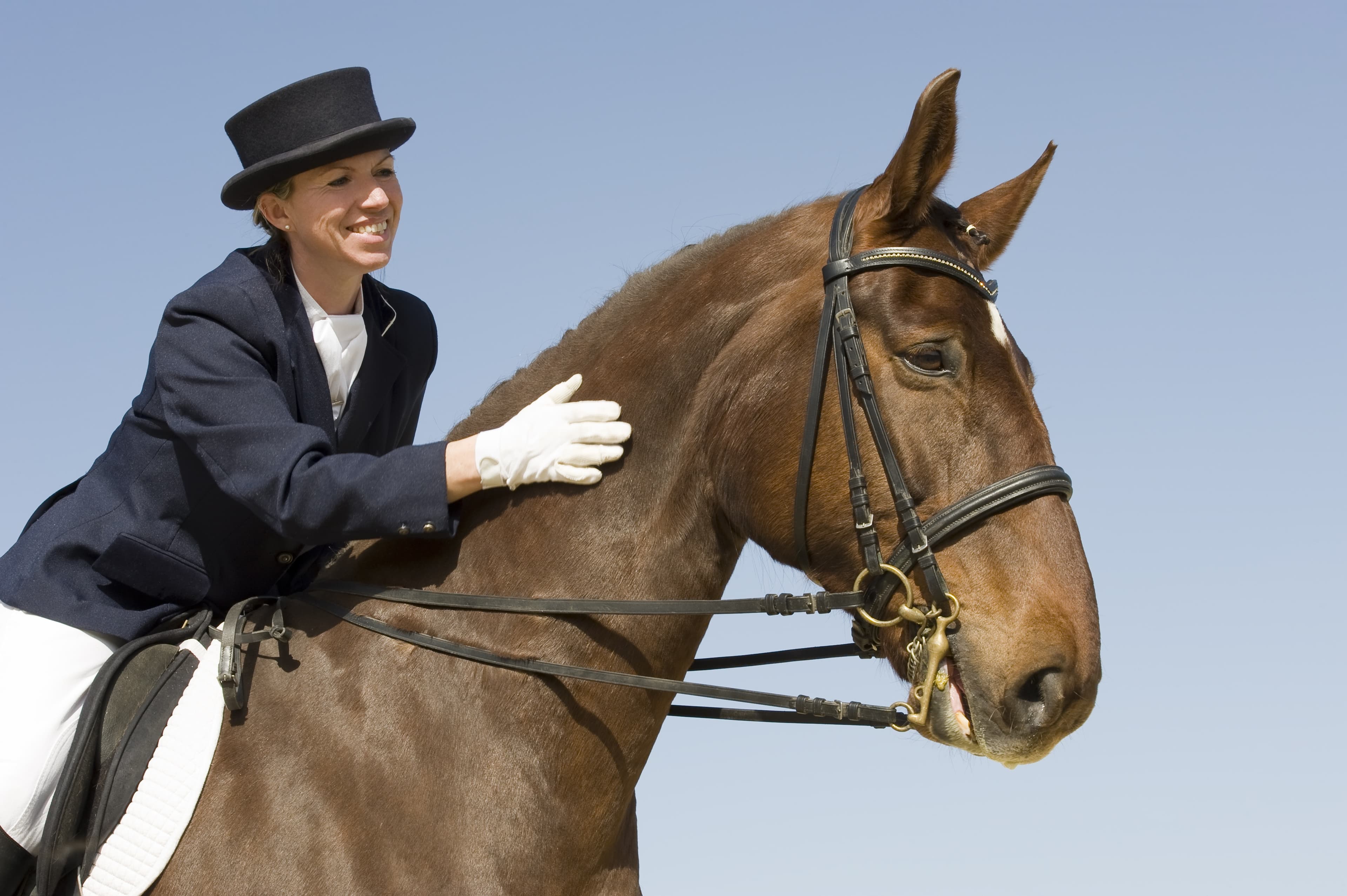 Horse Show Checklist