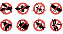 Treat Bug Bites Checklist Treat Bug Bites Checklist