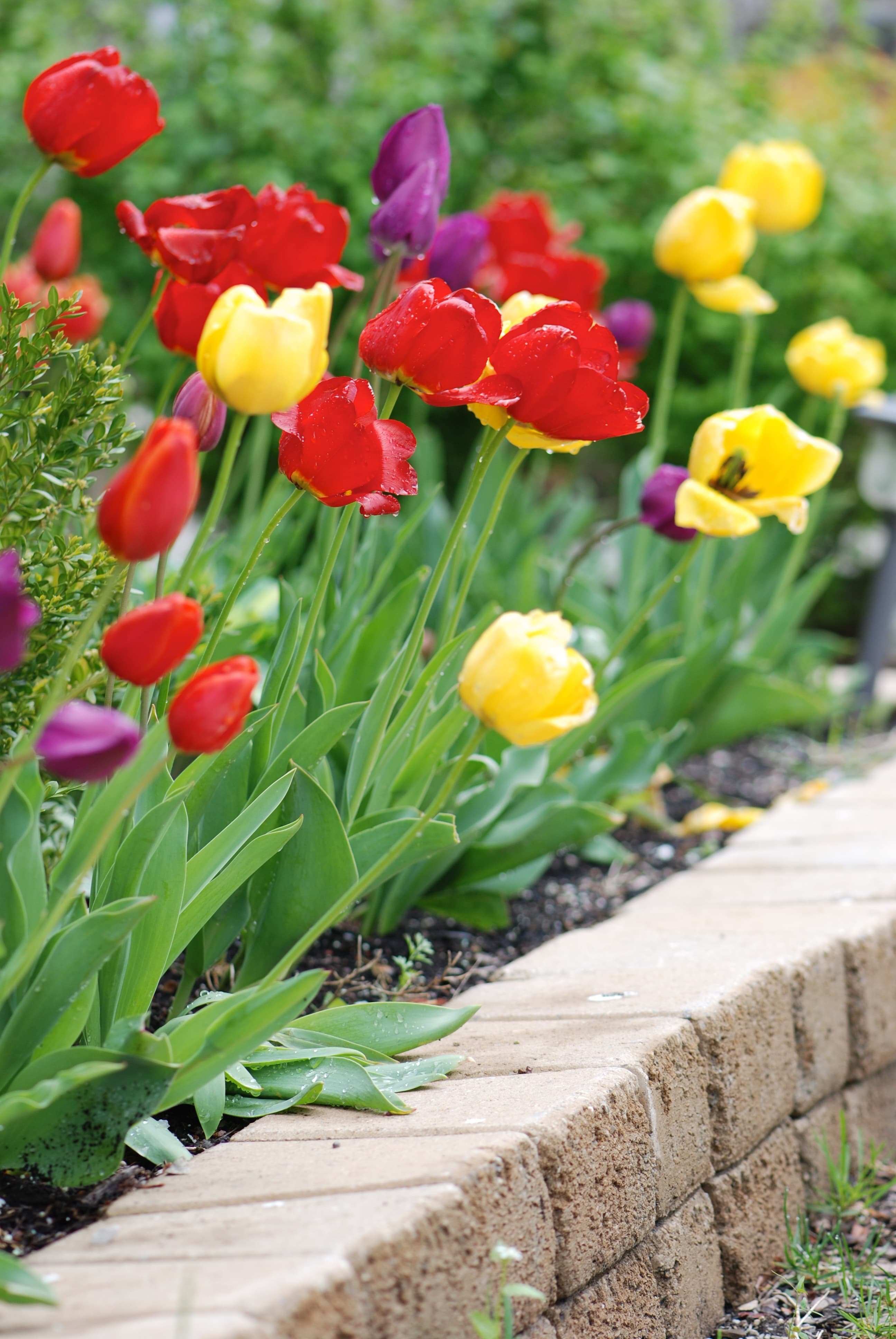 Curb Appeal Checklist