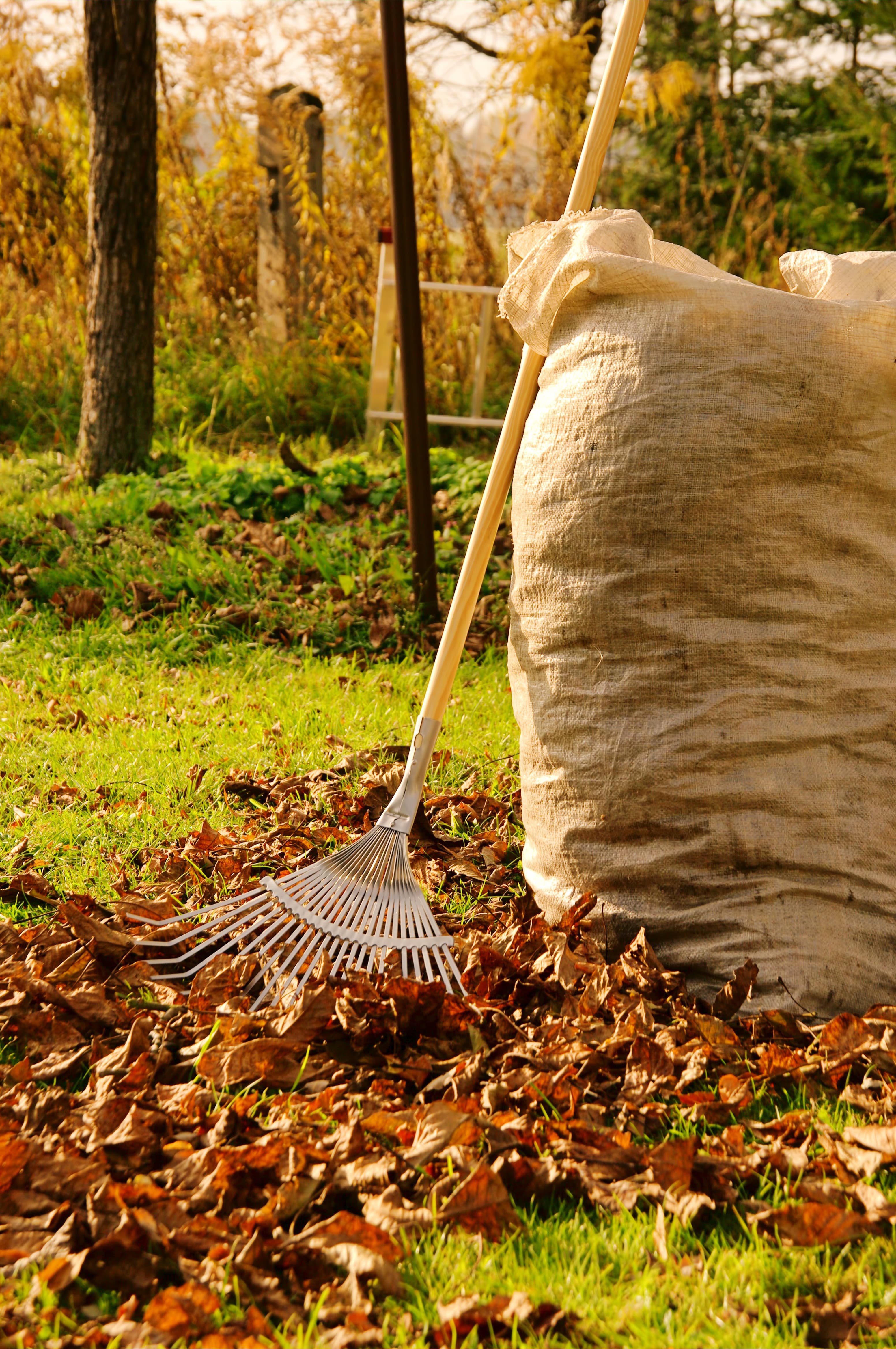 Fall Gardening Checklist