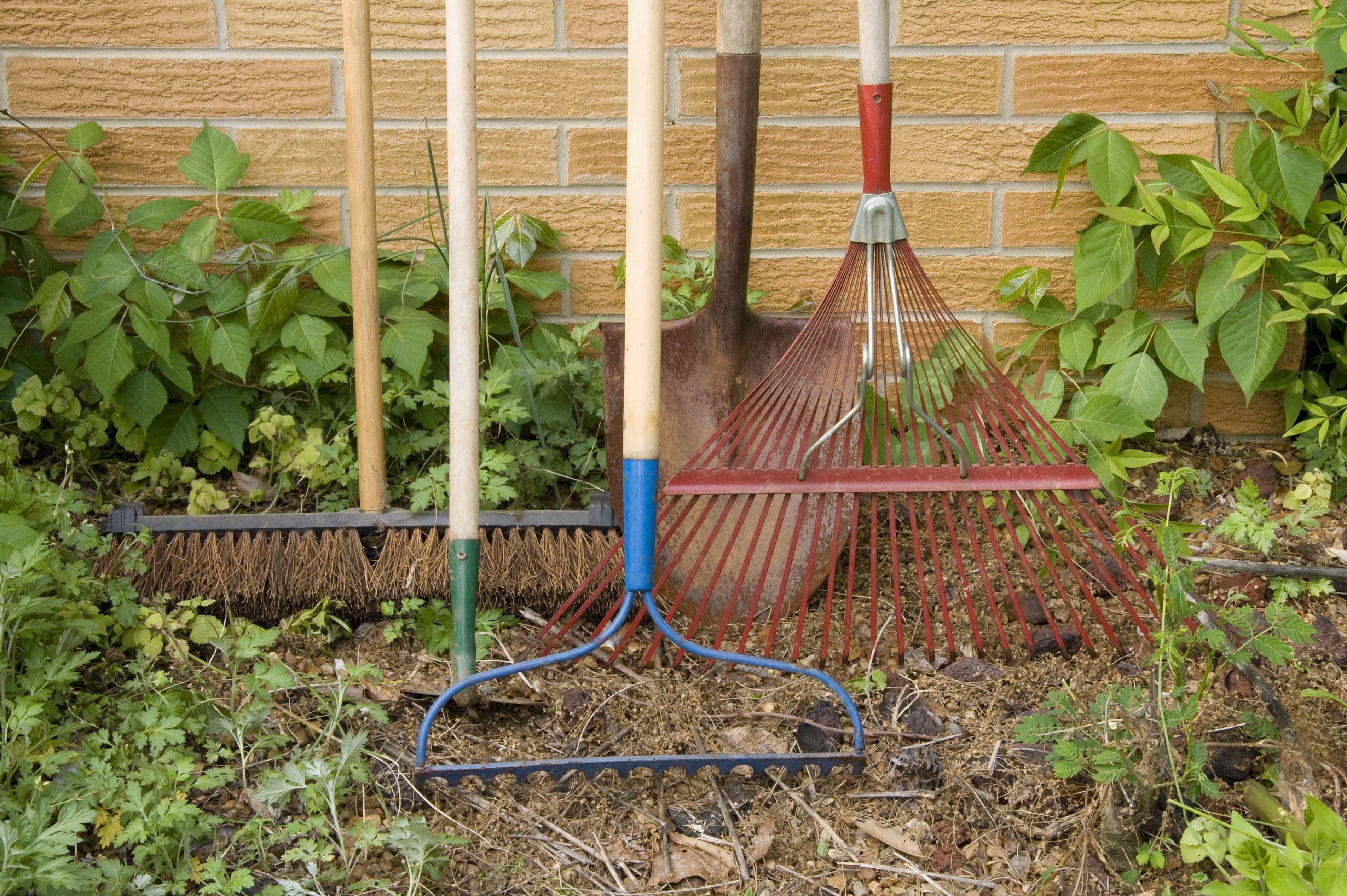 Yard Maintenance Checklist