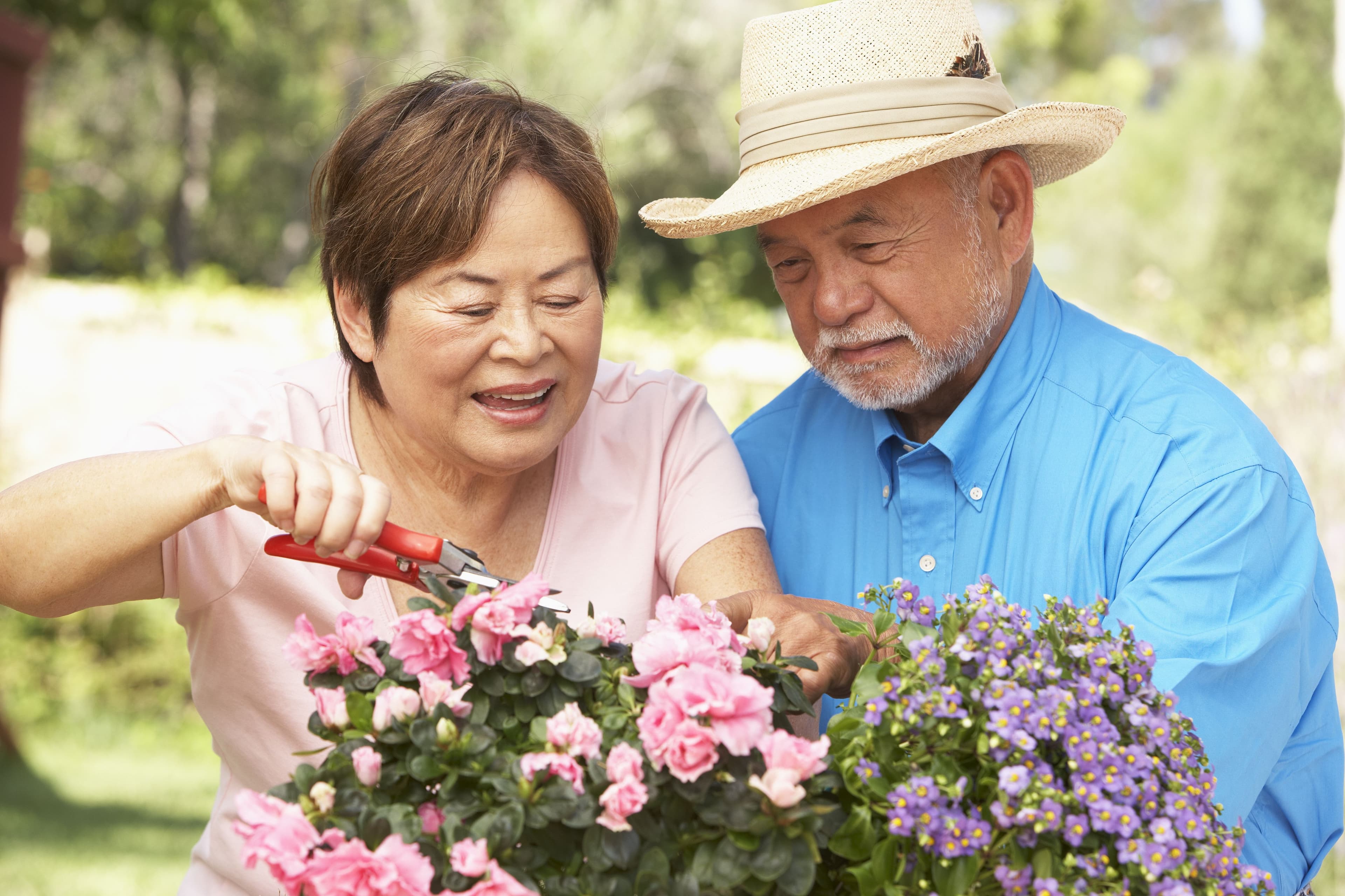 Spring Gardening Checklist