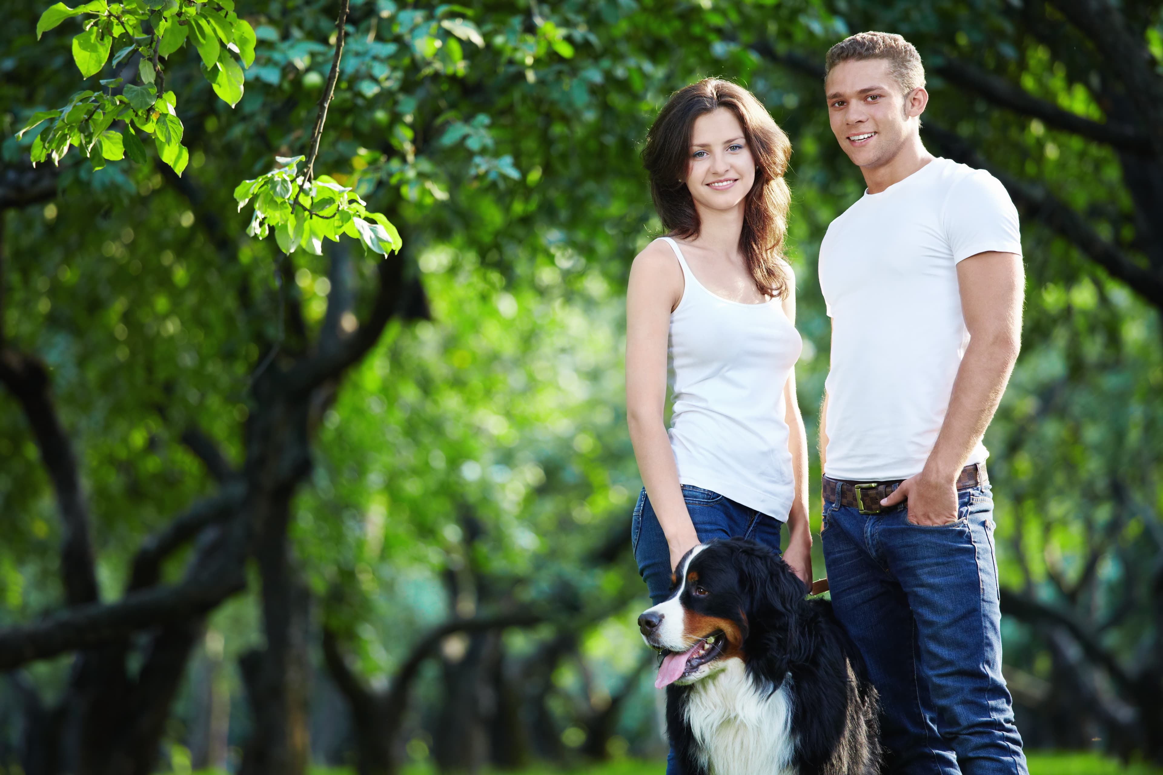 Pet Adoption Checklist Pet Adoption Checklist