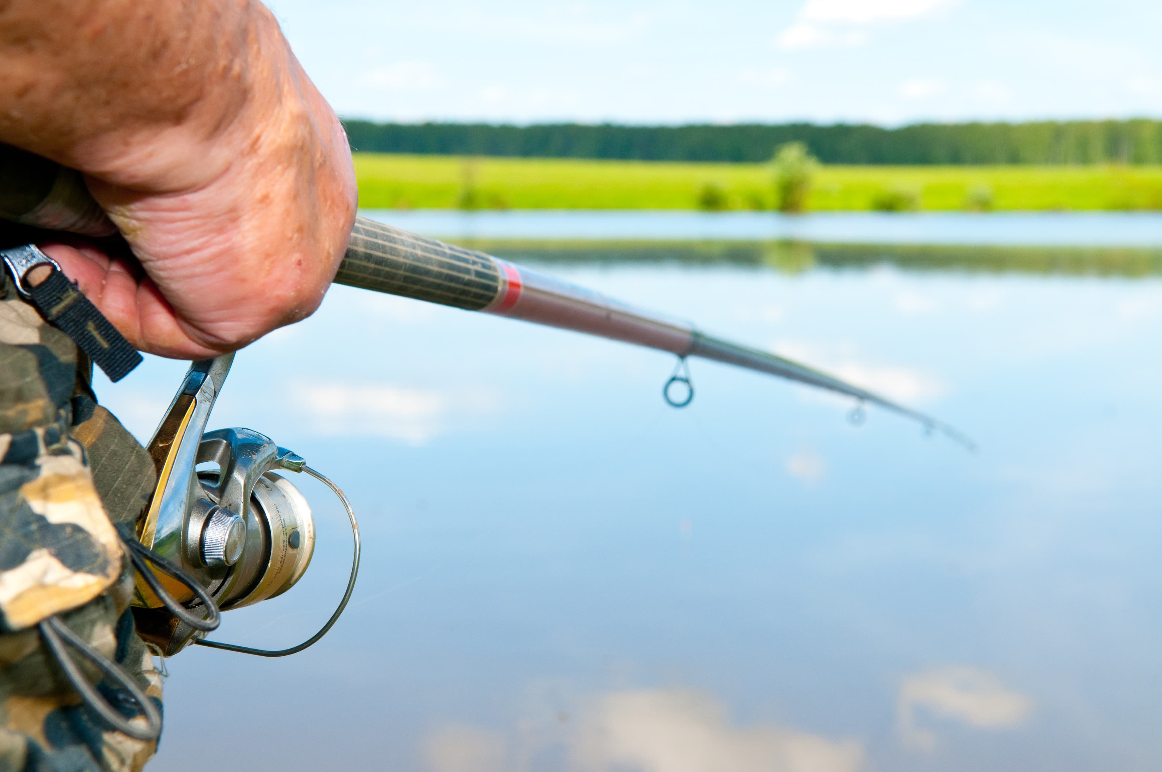 Fishing Rod Checklist Fishing Rod Checklist