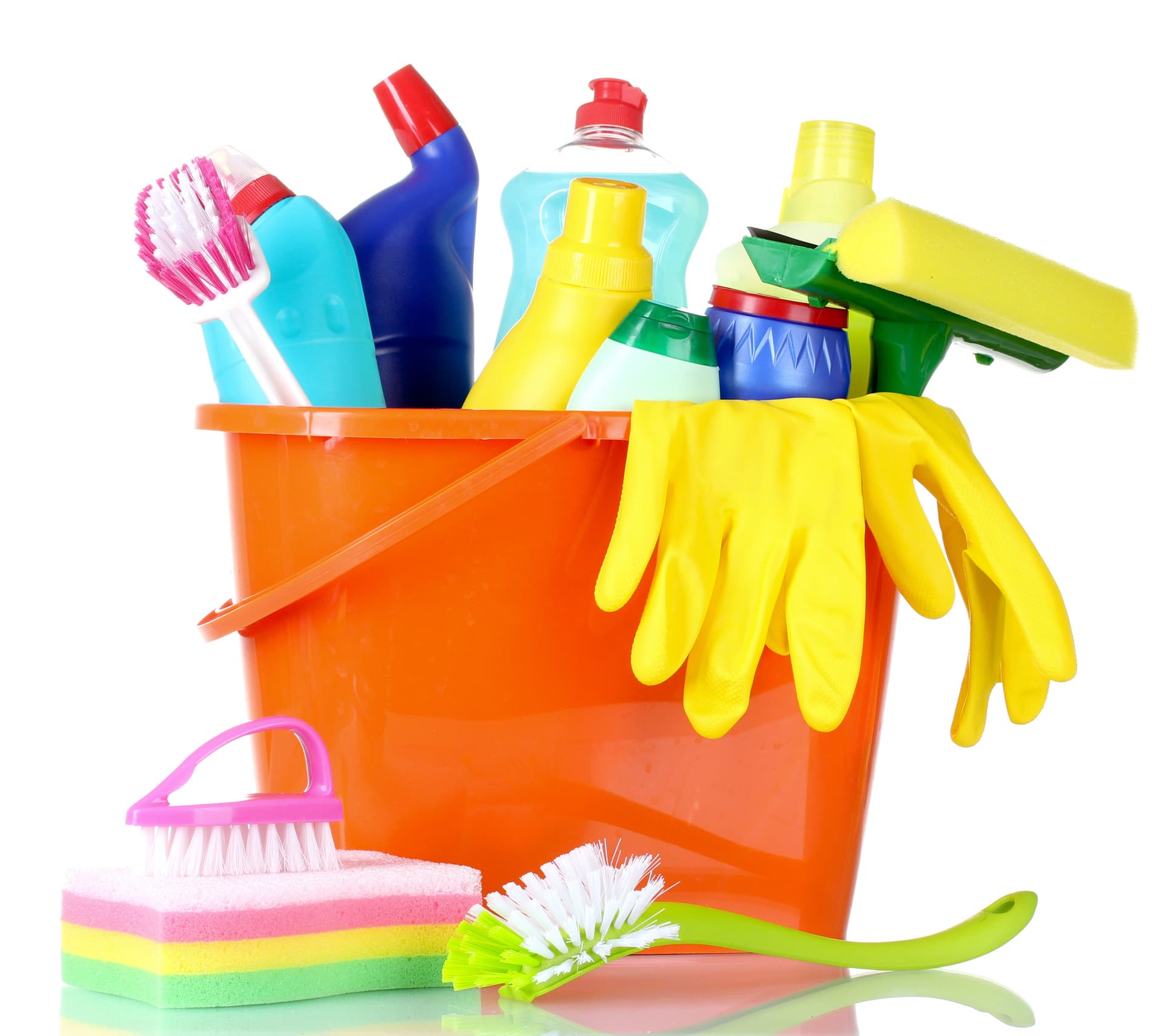 Ultimate Pest Control Checklist 45 Essential Tasks